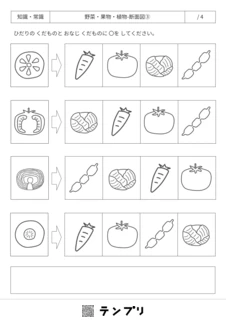 無料で印刷できる野菜・果物・植物-断面図-03のプリントです。